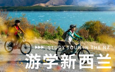 新西兰专题 - 游学新西兰