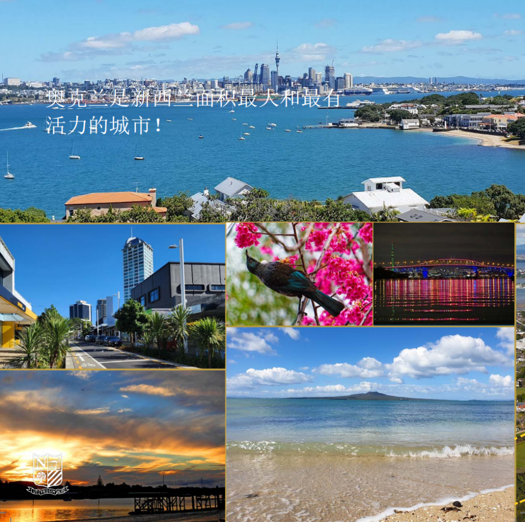 新西兰留学/奥克兰北岸148年公立男女混校/运动+学术/Northcote College/家长必看！！！