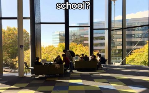 奥克兰大学直通车，奥大预科+奥大录取一步到位！初中高中都可以申请！