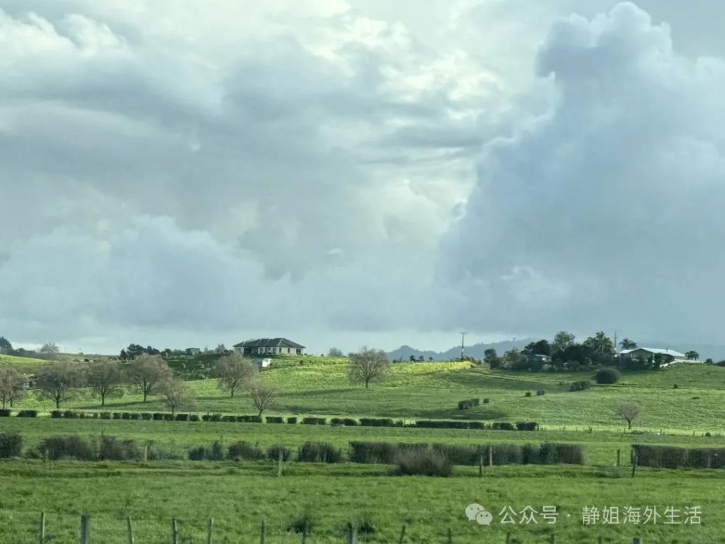 新西兰上大学期间可以换专业和学校你知道吗？大学不是单选题！一位母亲与老师的教育观察！