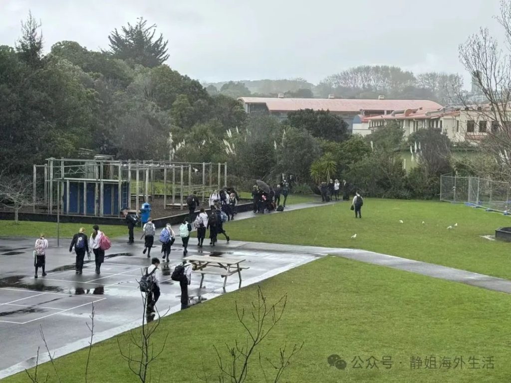 为什么选择新西兰本地留学服务机构？我们的优势有什么？