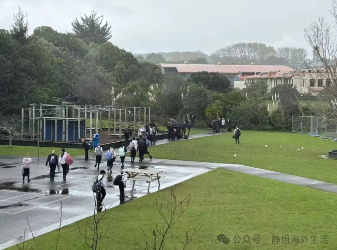 为什么选择新西兰本地留学服务机构？我们的优势有什么？