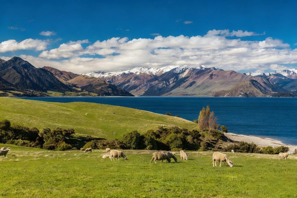 新西兰奥大桥梁课程+预科：初中毕业生看过来！无需高考，直达世界排名65位的奥克兰大学！