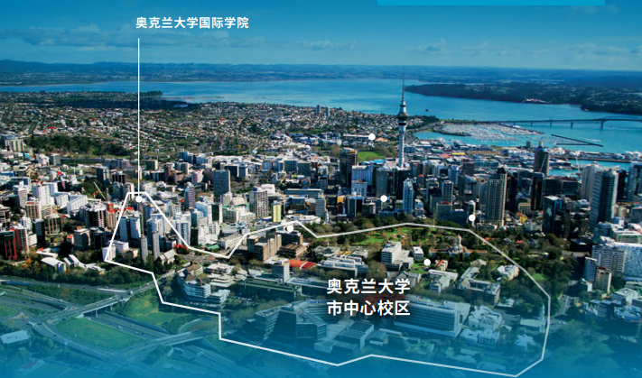 新西兰奥大桥梁课程+预科：初中毕业生看过来！无需高考，直达世界排名65位的奥克兰大学！