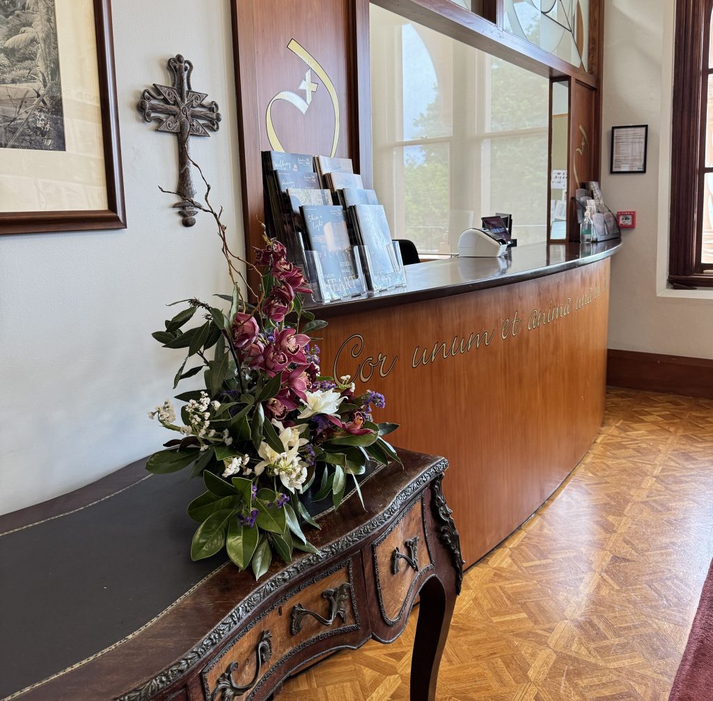 新西兰留学｜圣心巴拉丁学院Baradene College 私校水准，公立学费 这所顶级公立女校，如何让女孩自信发光？