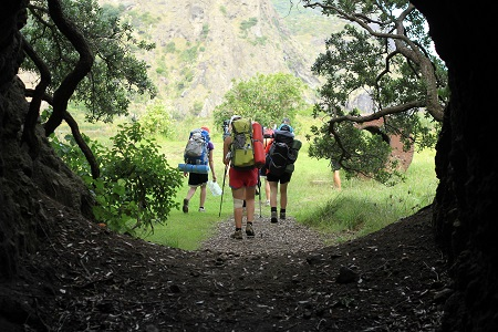 新西兰留学 有所“不内卷”私立学校，95%升学率，提供1-13年级剑桥课程，校区周围海滩公园超美！海湾富人区太适合留学啦！