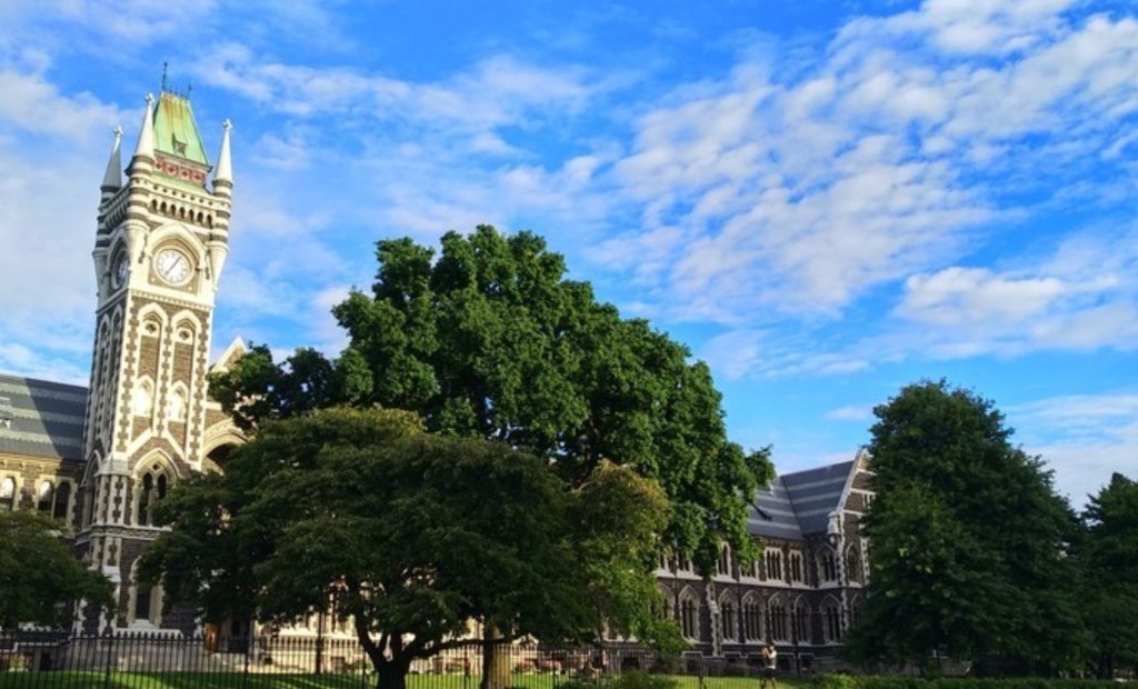 新西兰留学 这个羊比人多的国家 大家到底都喜欢什么？