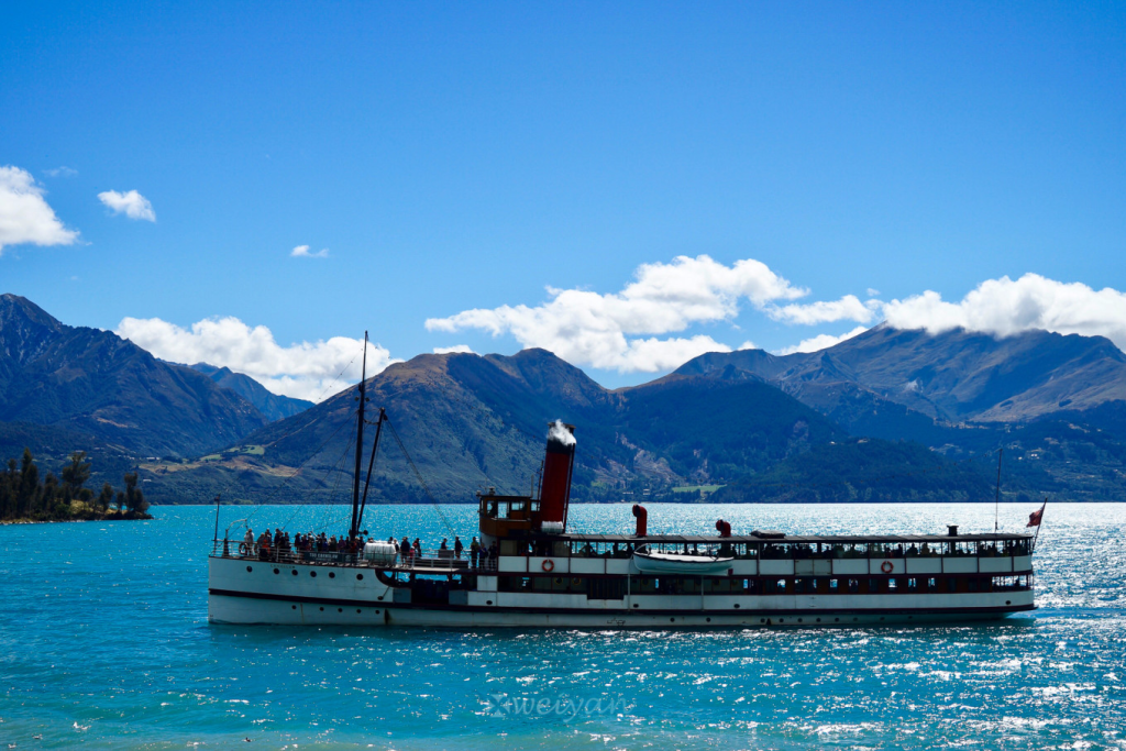 新西兰留学 这个羊比人多的国家 大家到底都喜欢什么？