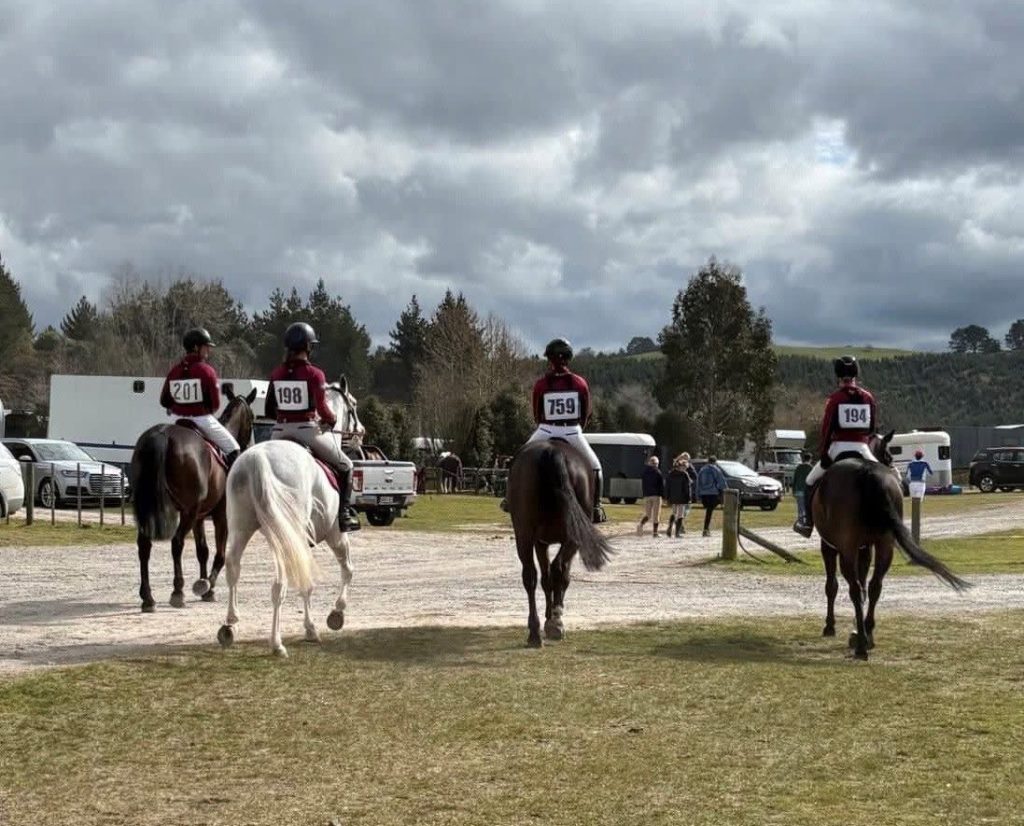 新西兰留学 这个羊比人多的国家 大家到底都喜欢什么？