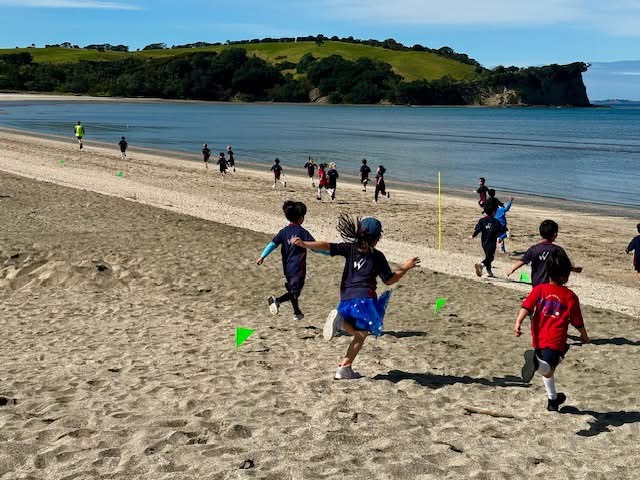 新西兰留学 这个羊比人多的国家 大家到底都喜欢什么？