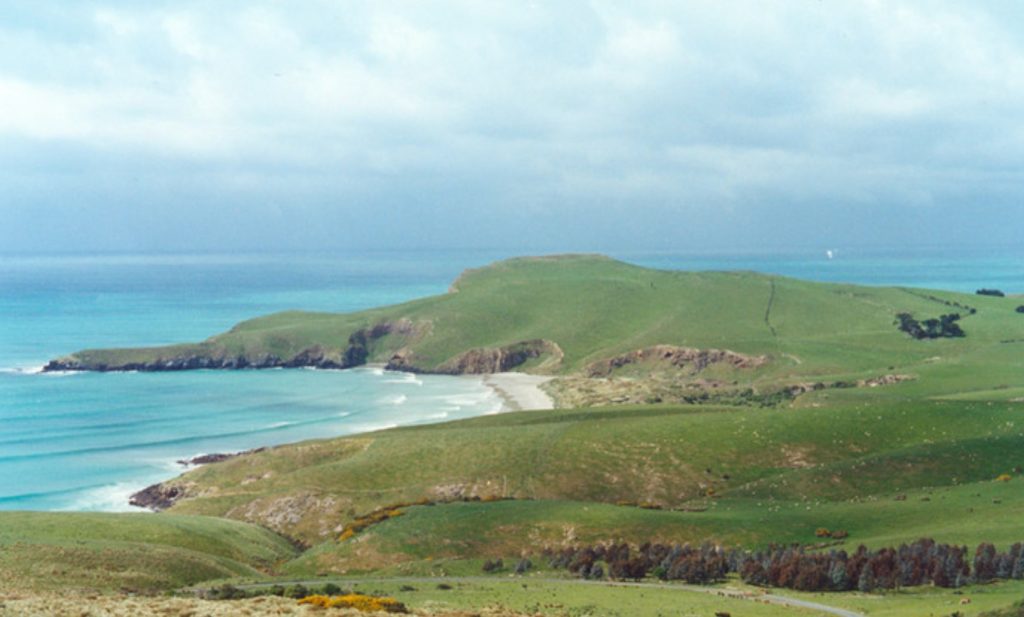 为什么越来越多的人选择来新西兰留学？