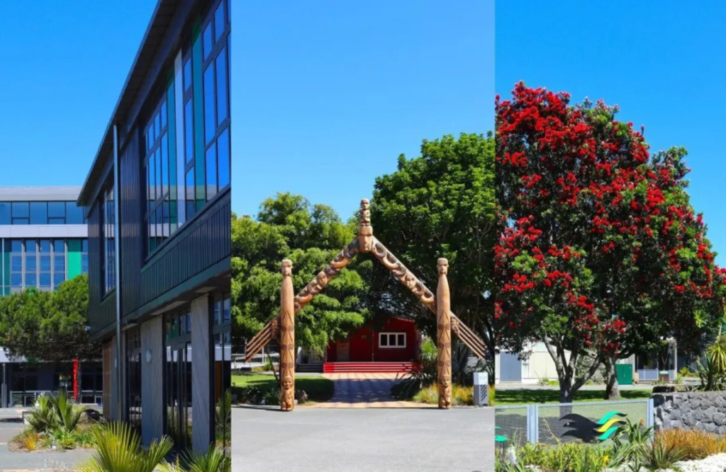 留学新西兰这所“穿衣自由的高中”探校！不用穿校服就可以上学的西泉中学（Western Springs College）！