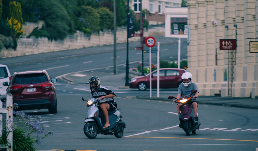 新西兰留学 这个羊比人多的国家 大家到底都喜欢什么？