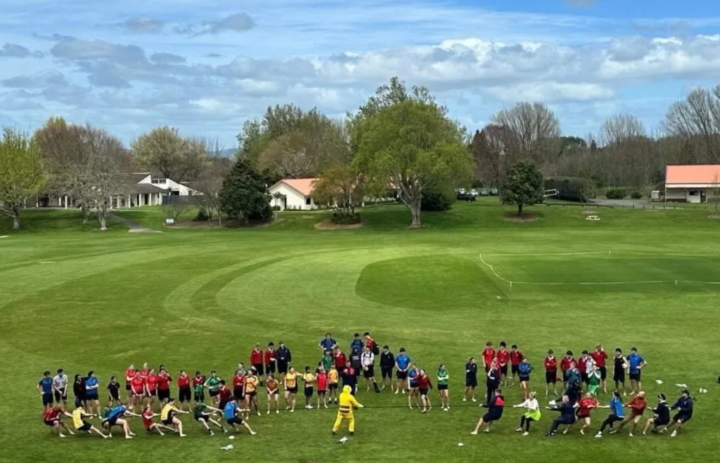 新西兰留学 “绕开高考独木桥”，通往八大名校的黄金跳板！一篇文章让你了解新西兰预科。