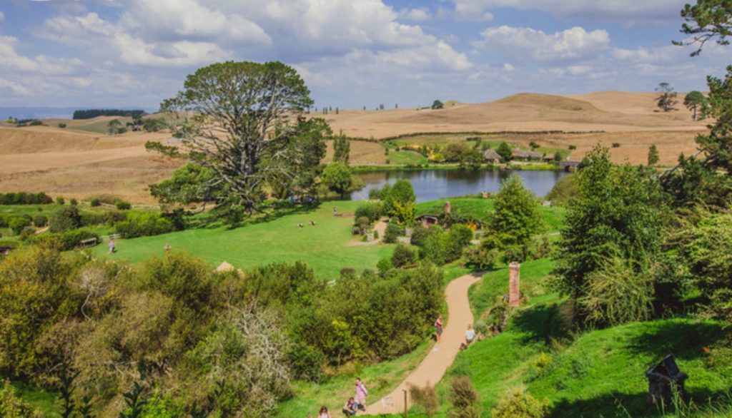 为什么越来越多的人选择来新西兰留学？
