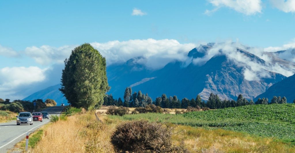 留学新西兰为什么都喜欢首选私立学校？
