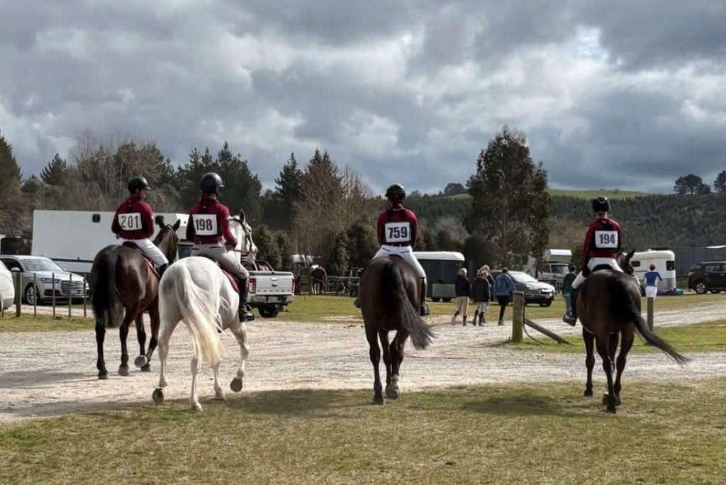 留学新西兰为什么都喜欢首选私立学校？