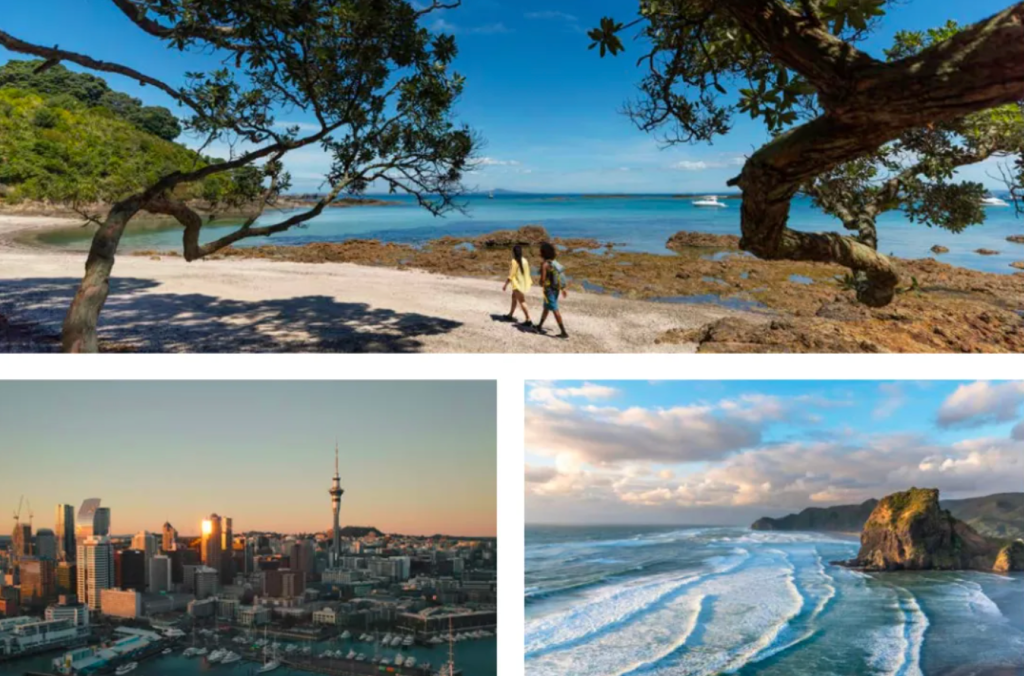 别错过机会来了！免雅思新西兰线上英语班它来了它来了！可内测入学！学完可直接上本科及硕士！！！