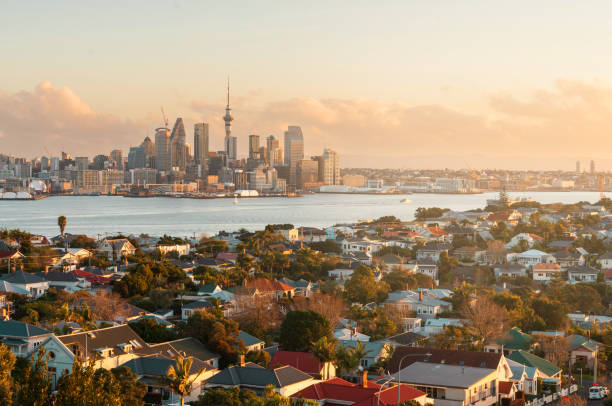 新西兰留学干货！学费+语言+签证+陪读全攻略！家长必看！
