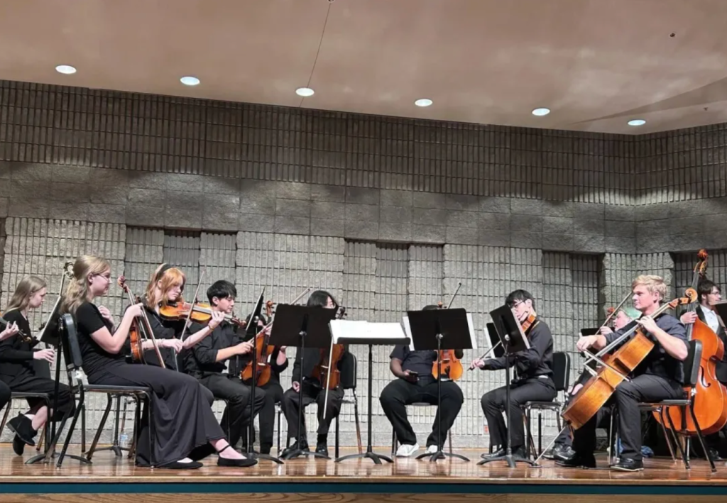 新西兰汉密尔顿私立学校!小学/初高中/都在这里了!!!离奥克兰车程仅1个小时15分钟!!!