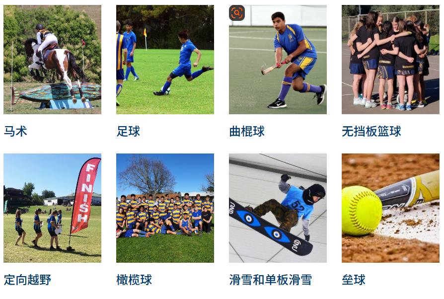 新西兰留学选择环境还是兴趣？这所学校学术+兴趣都兼顾、氛围轻松又包容，就读它了！Northcote college