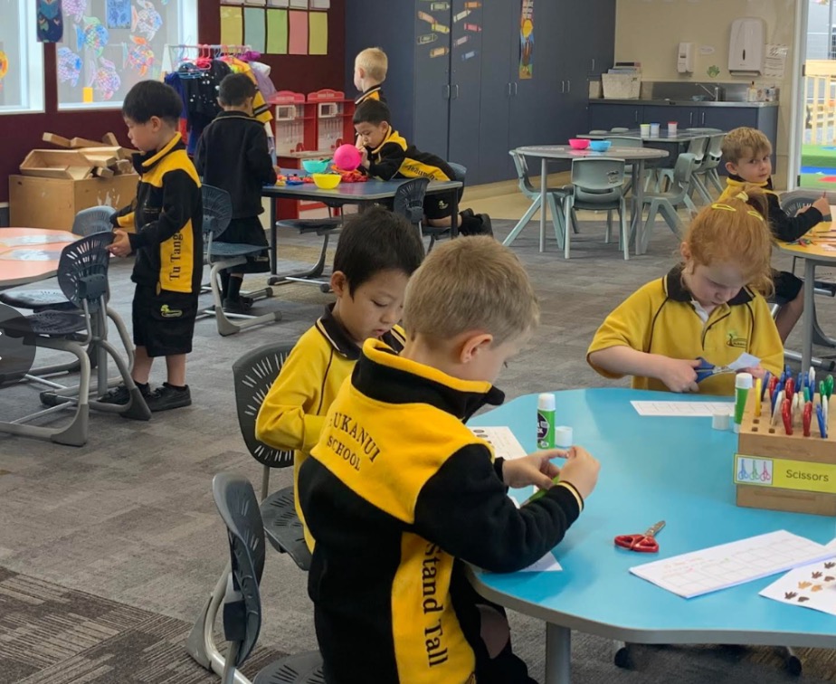 新西兰汉密尔顿/优质公立中学&小学大盘点！完整的学区升学链路，看看你知道吗？
