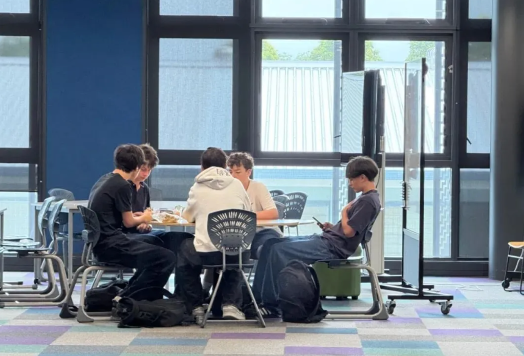 新西兰奥克兰中区公立学校大盘点:其中最低学费居然不到1万纽币!学费/课程/办学特色,都在这里了!千万别错过!