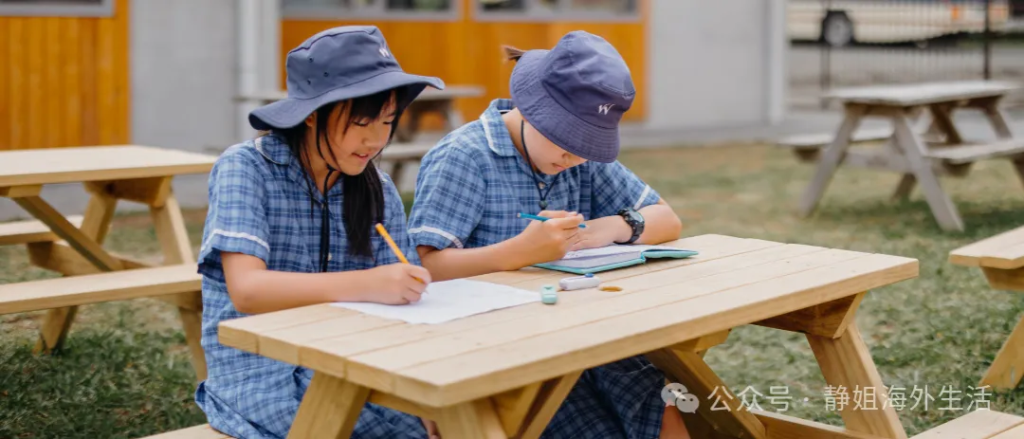新西兰北岸剑桥私校:Wentworth College国际生课程、优势与费用详解丨一篇文章看懂
